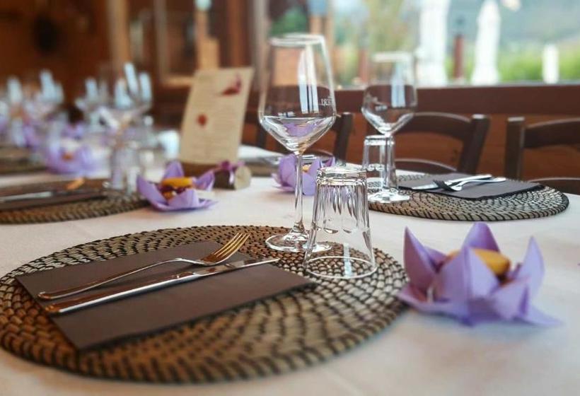 בית מלון כפרי Agriturismo Il Timo