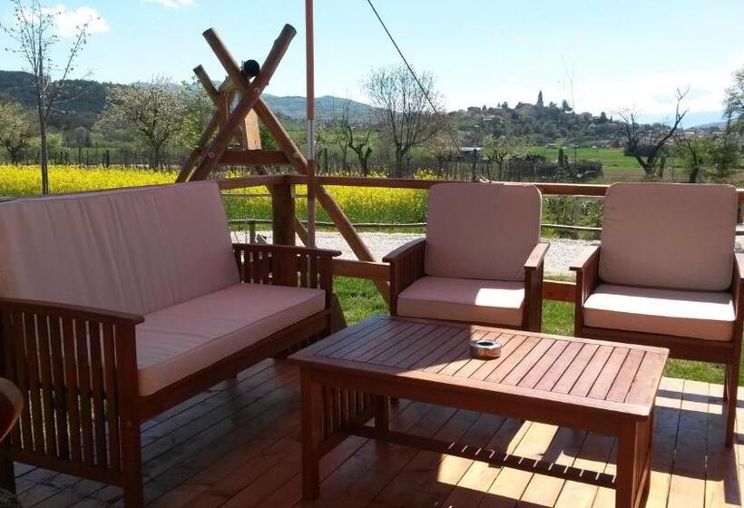 בית מלון כפרי Agriturismo Il Timo