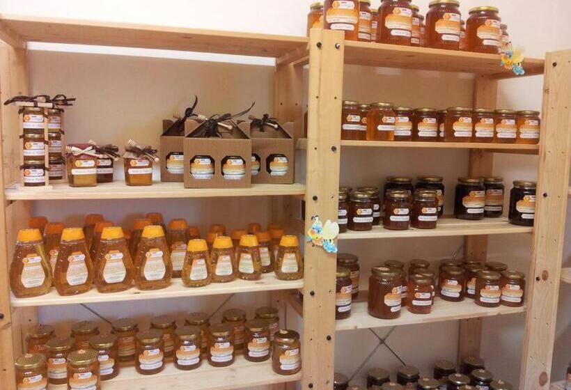 בית מלון כפרי Agriturismo Il Timo