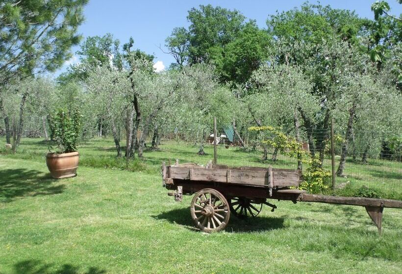 בית מלון כפרי Agriturismo Il Viaio