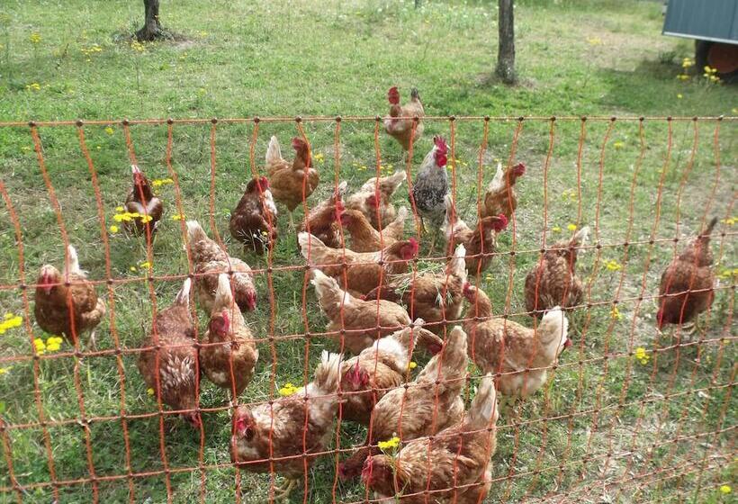 בית מלון כפרי Agriturismo Il Viaio