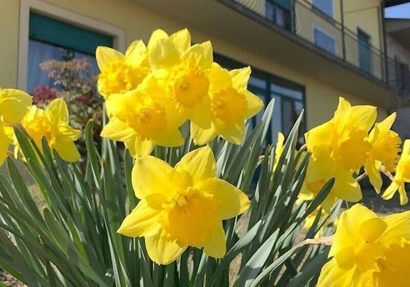 酒店 Agriturismo La Biandrina