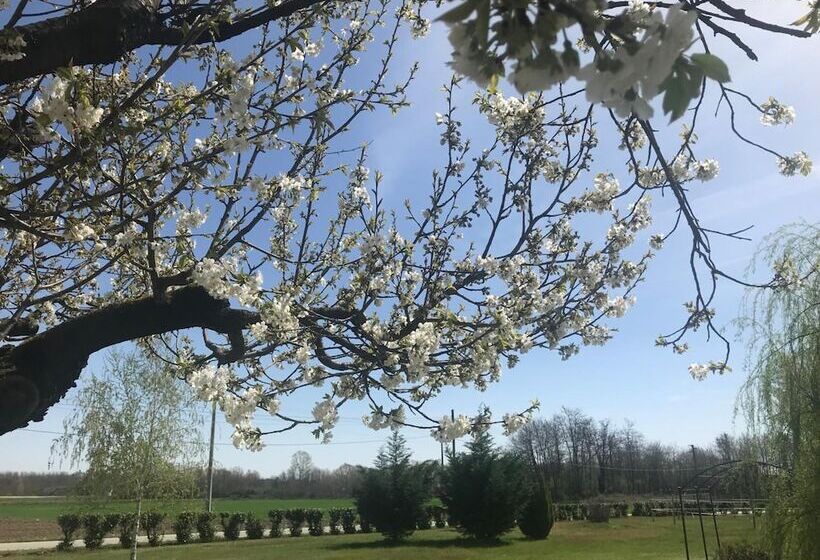 酒店 Agriturismo La Biandrina