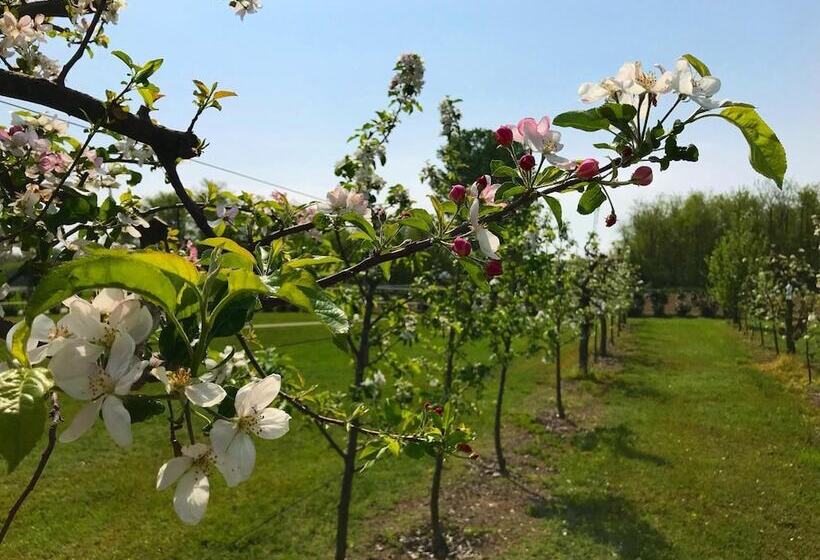 酒店 Agriturismo La Biandrina