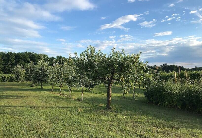 호텔 Agriturismo La Biandrina