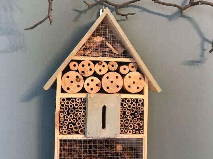 호텔 Agriturismo La Biandrina