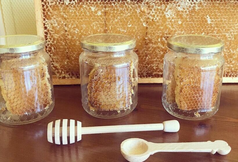 酒店 Agriturismo La Biandrina