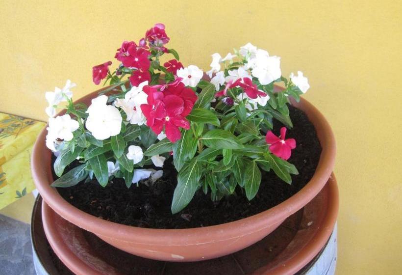 בית מלון כפרי Agriturismo La Carlina