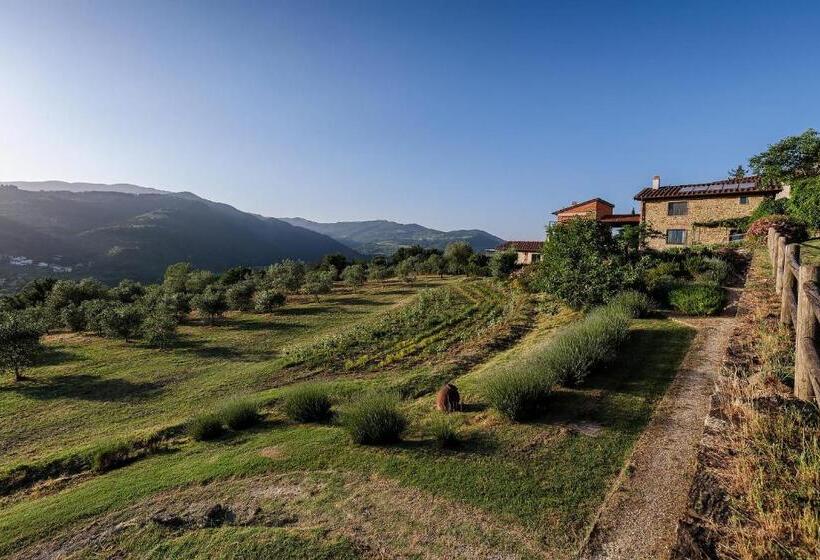 Отель Agriturismo La Fontaccia