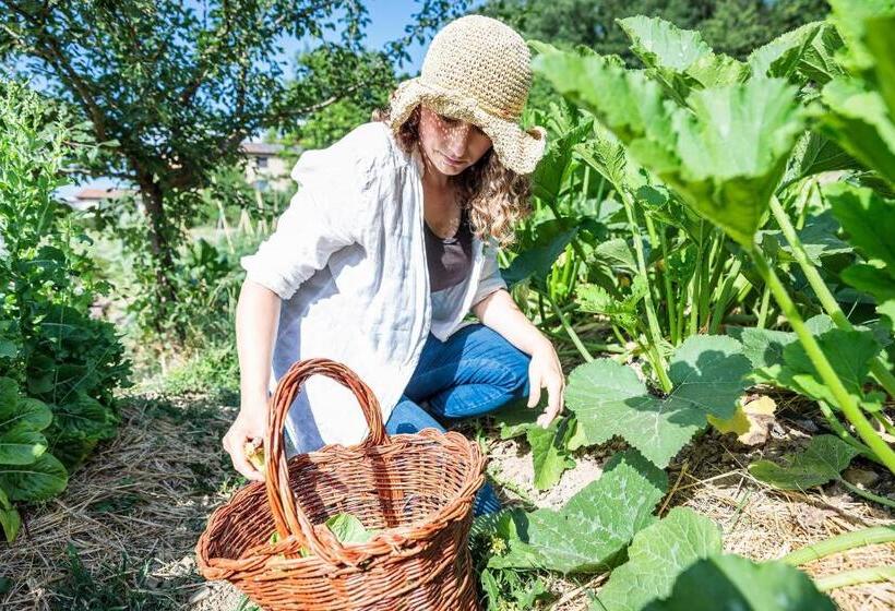 Отель Agriturismo La Fontaccia