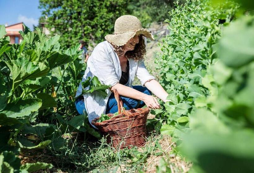 Отель Agriturismo La Fontaccia