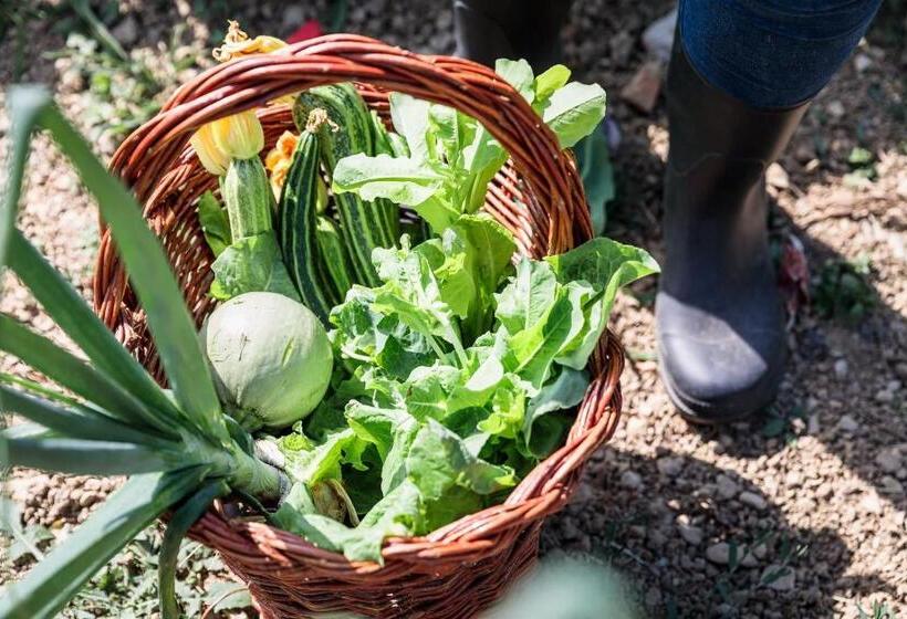 Отель Agriturismo La Fontaccia