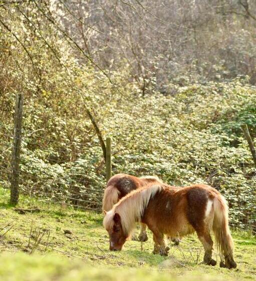 酒店 Agriturismo Le Noci