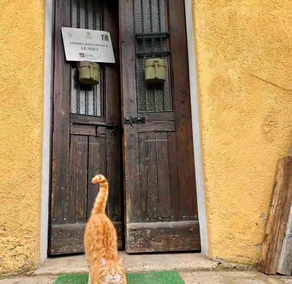 酒店 Agriturismo Le Noci