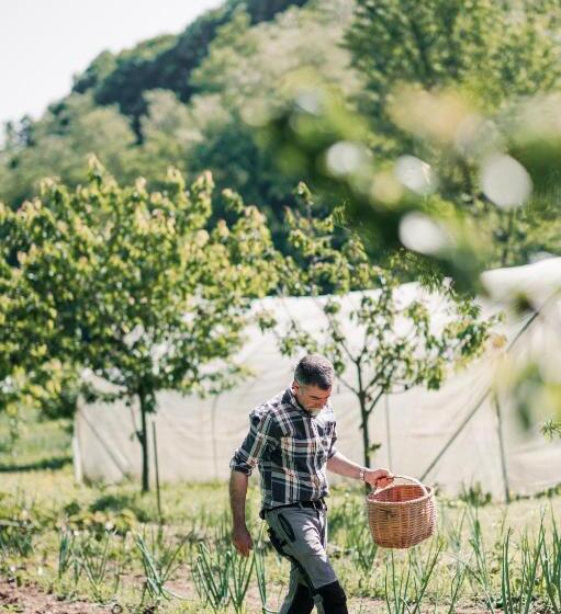 בית מלון כפרי Agriturismo Ma Che Bel Castello