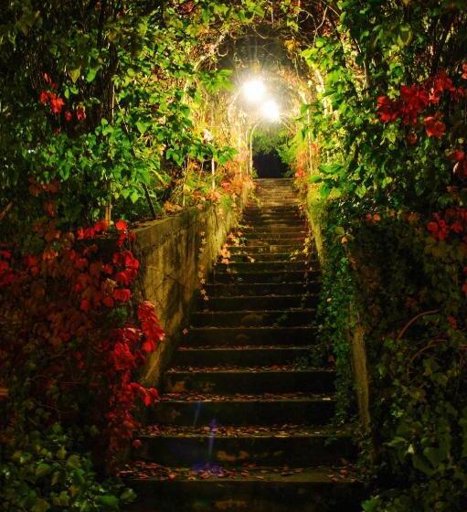 فندق Agriturismo Paitin