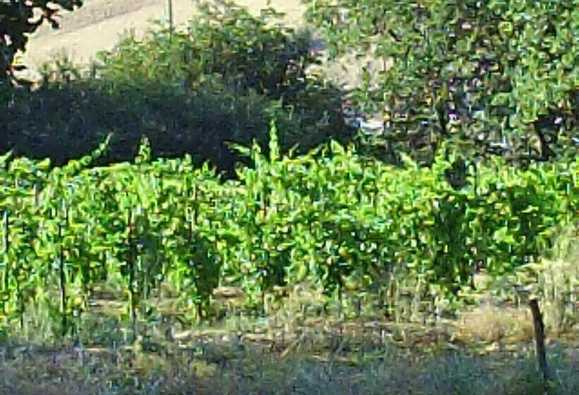 호텔 Agriturismo San Pietro