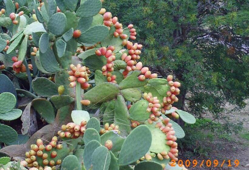 호텔 Agriturismo San Pietro