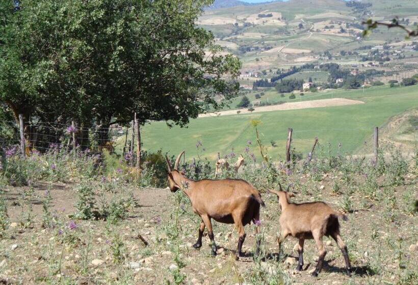 酒店 Agriturismo San Pietro