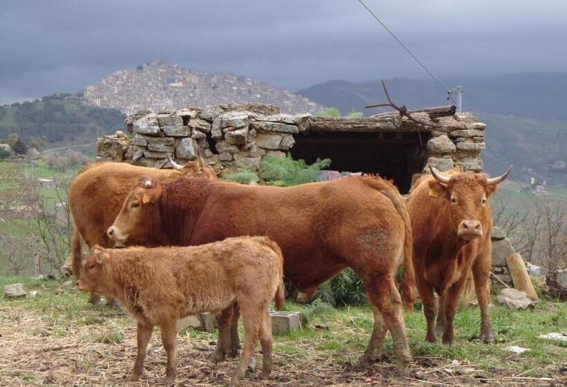 호텔 Agriturismo San Pietro
