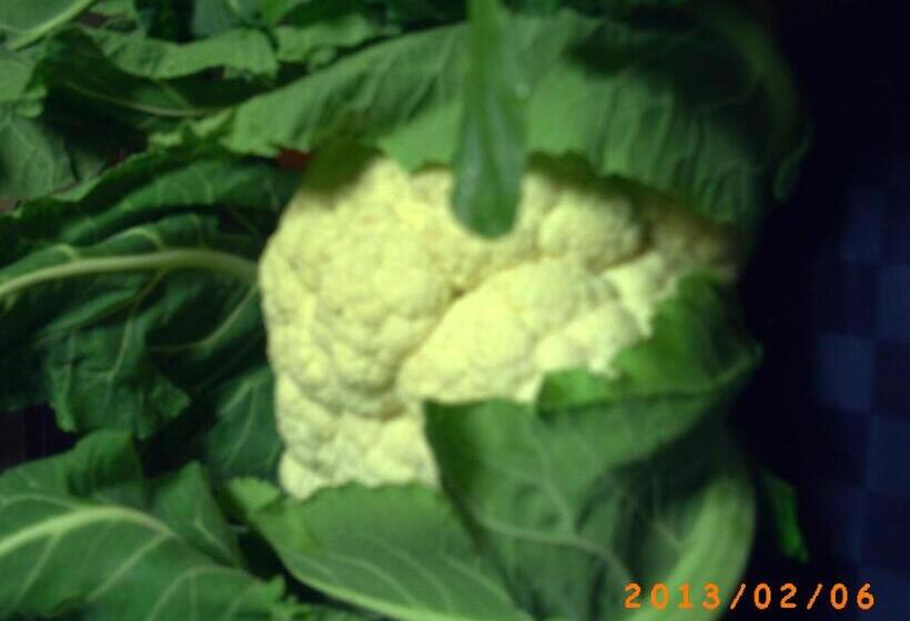 호텔 Agriturismo San Pietro