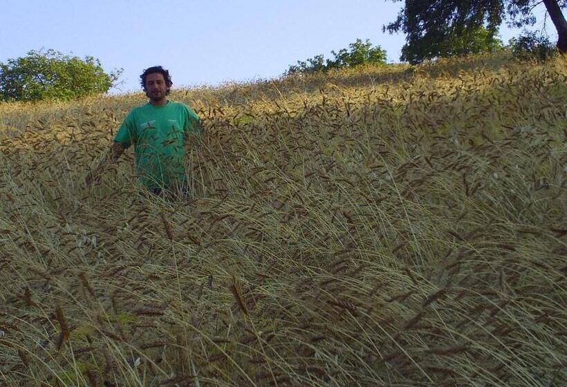 호텔 Agriturismo San Pietro