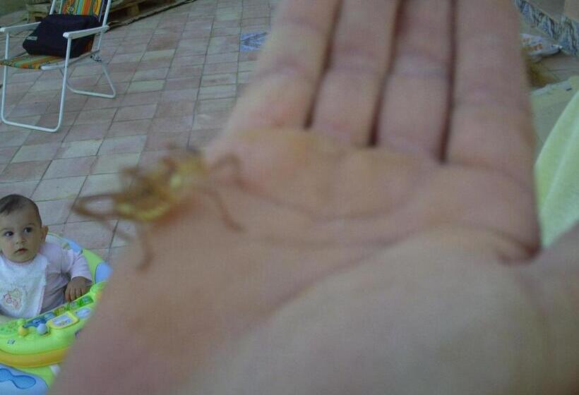 호텔 Agriturismo San Pietro