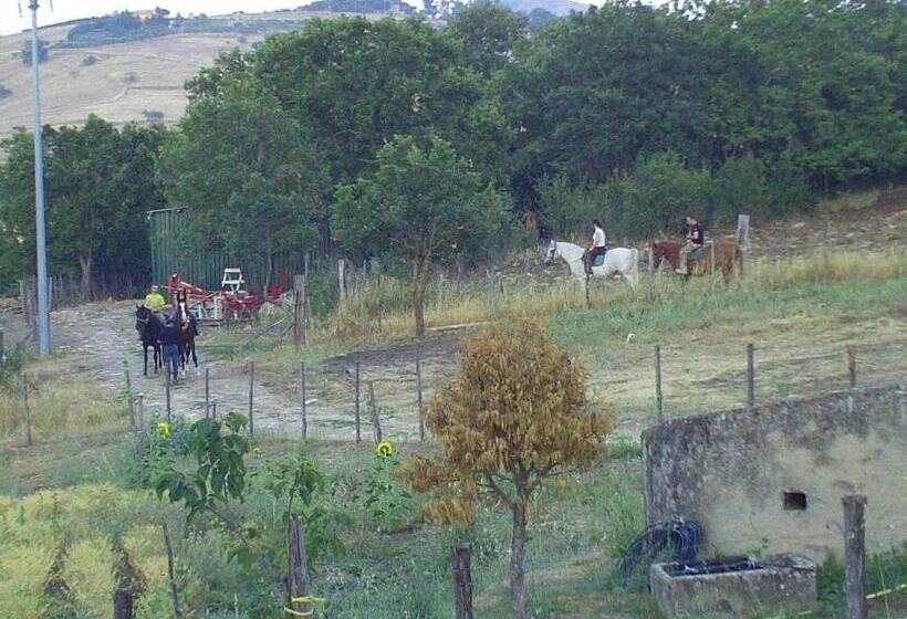 호텔 Agriturismo San Pietro