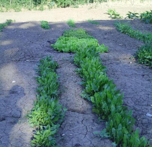 호텔 Agriturismo San Pietro