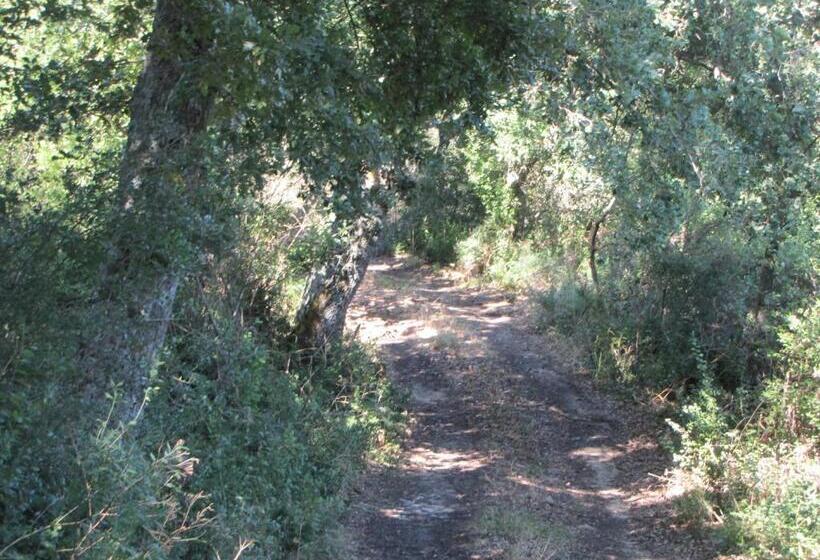 호텔 Agriturismo San Pietro