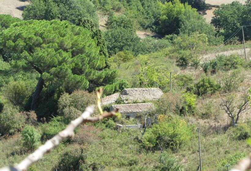 호텔 Agriturismo San Pietro