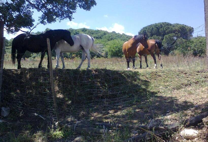 호텔 Agriturismo San Pietro