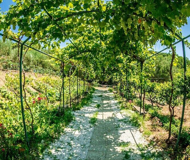 호텔 Agriturismo Valle Di Marco