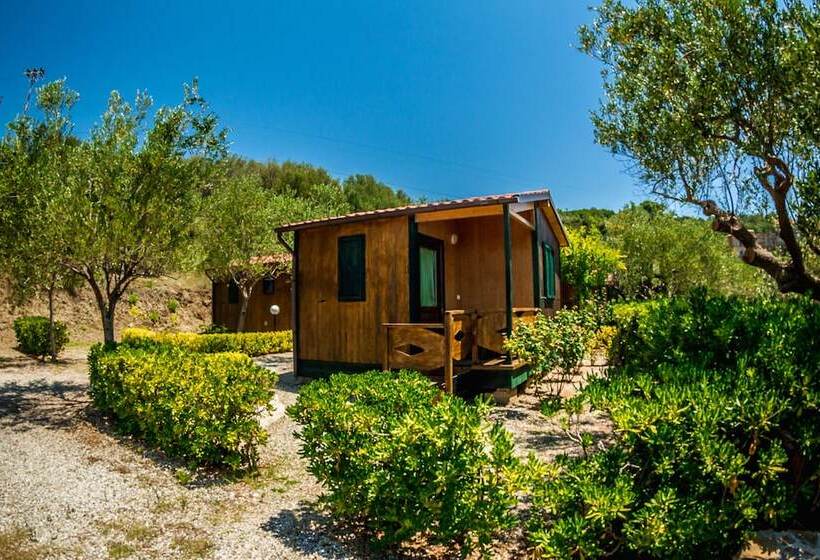 호텔 Agriturismo Valle Di Marco