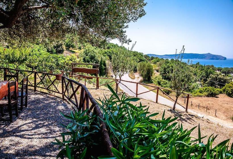 호텔 Agriturismo Valle Di Marco