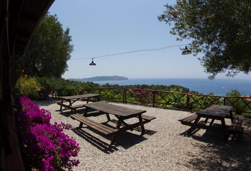 호텔 Agriturismo Valle Di Marco