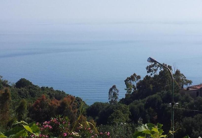 호텔 Agriturismo Valle Di Marco