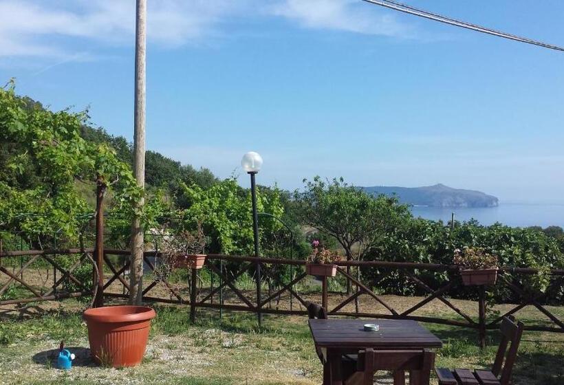 호텔 Agriturismo Valle Di Marco