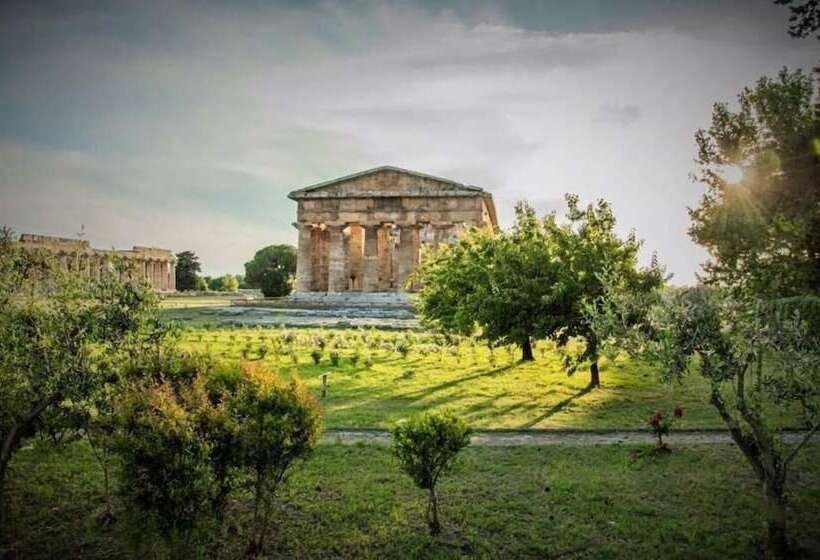 فندق Antica Conca D'oro