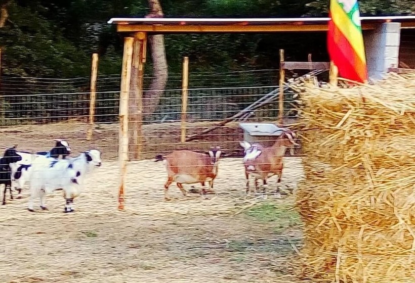 فندق Antica Conca D'oro