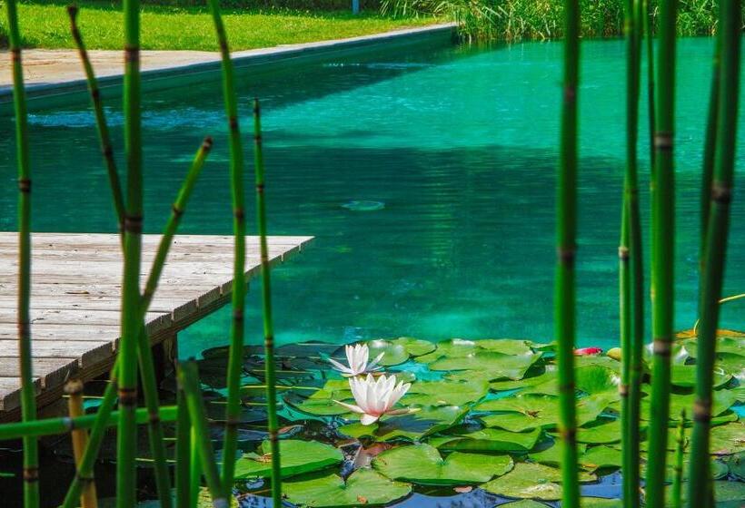 هتل Bioagriturismo Il Cerreto