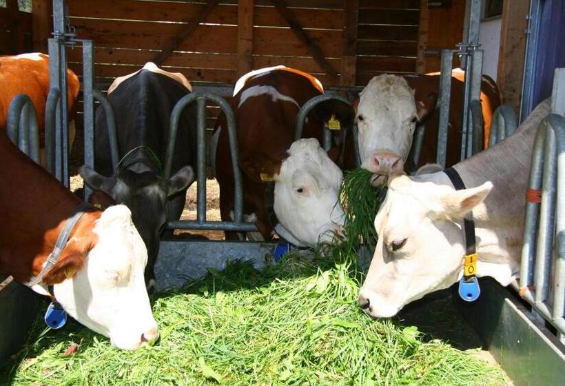 酒店 Ferienwohnungen Bulandhof