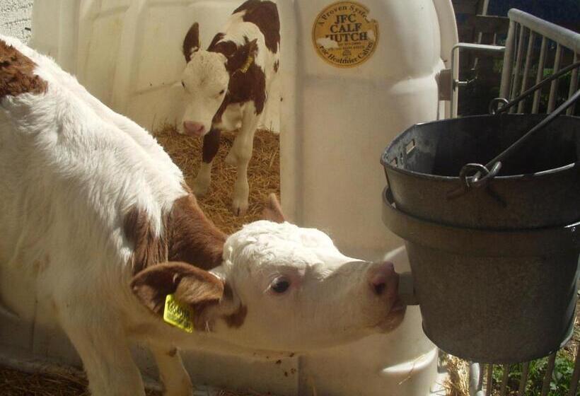 בית מלון כפרי Galler Am Berg