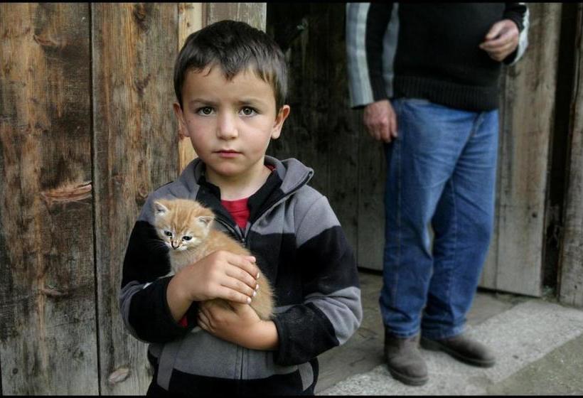 בית מלון כפרי Galler Am Berg