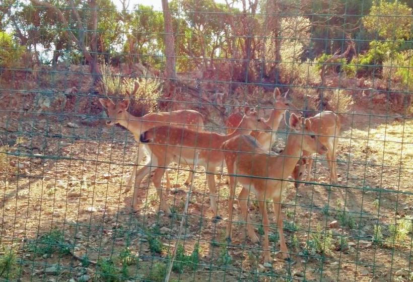 בית מלון כפרי I Mandorli