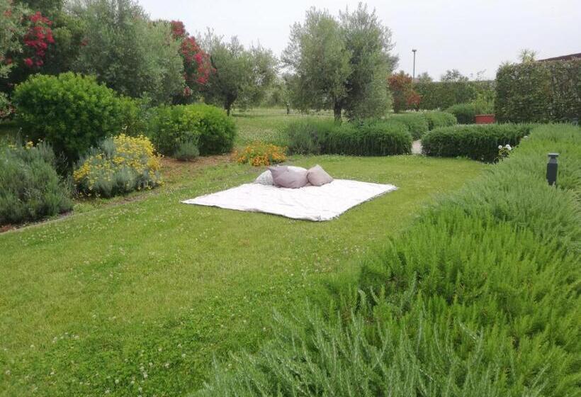 فندق Il Casale Degli Ulivi   Agriturismo