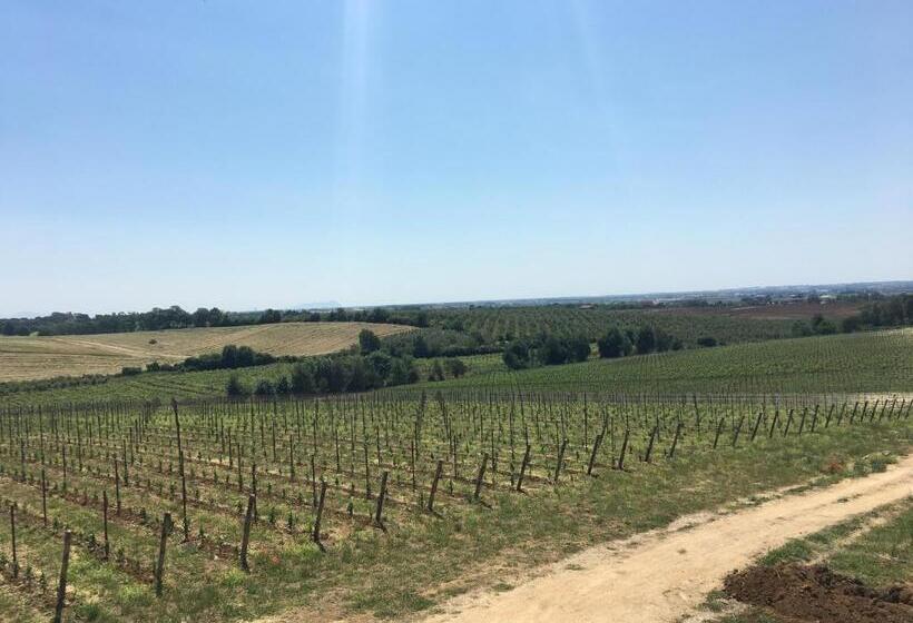 فندق Il Casale Degli Ulivi   Agriturismo