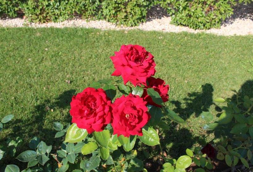 فندق Il Casale Degli Ulivi   Agriturismo