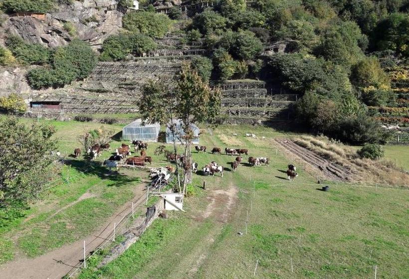 בית מלון כפרי L'ospitalità Del Castello
