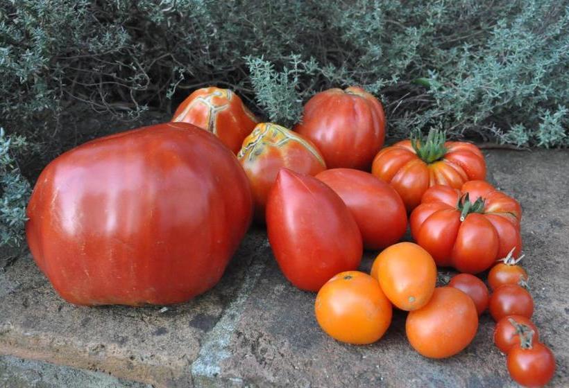 호텔 La Locanda Cuccuini